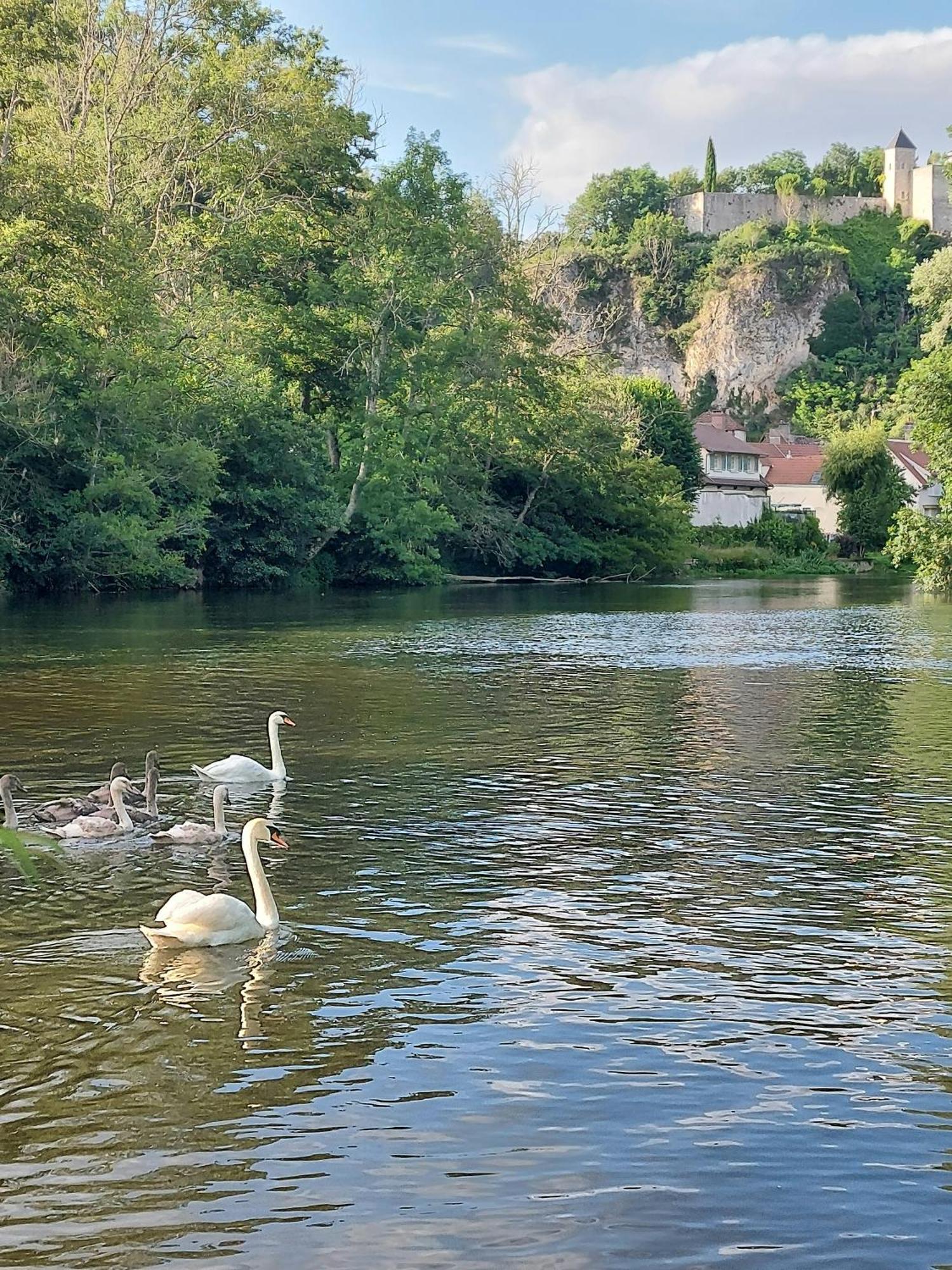 Bellevue Mailly-le-Chateau